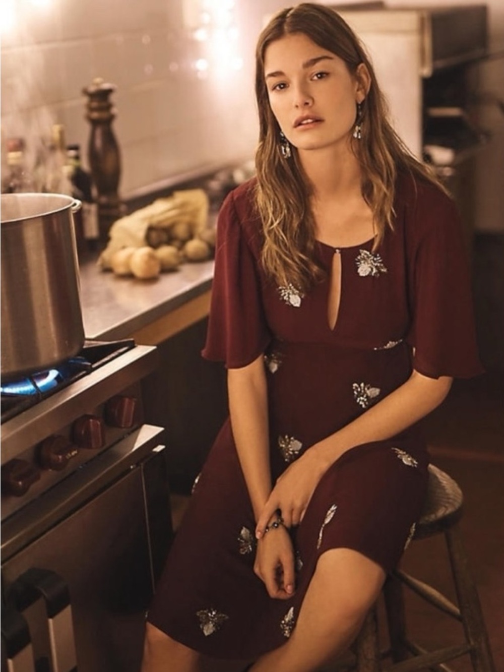 Anthropologie Moulinette Soeurs Burgundy beaded Firefly Embroidered Midi Dress